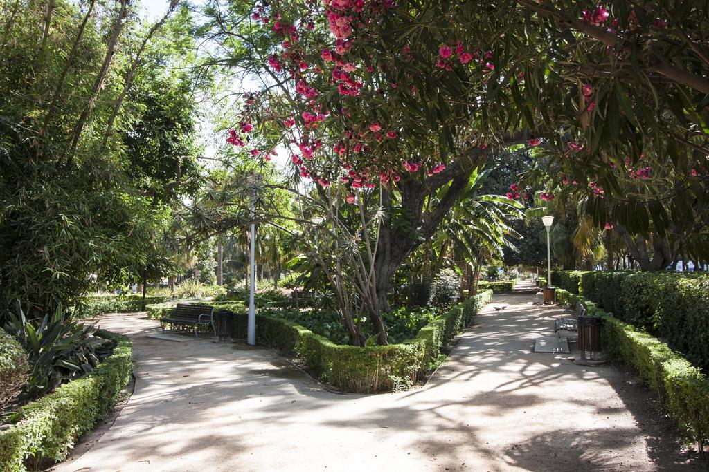 Cortina Apartments ! Μάλαγα Εξωτερικό φωτογραφία